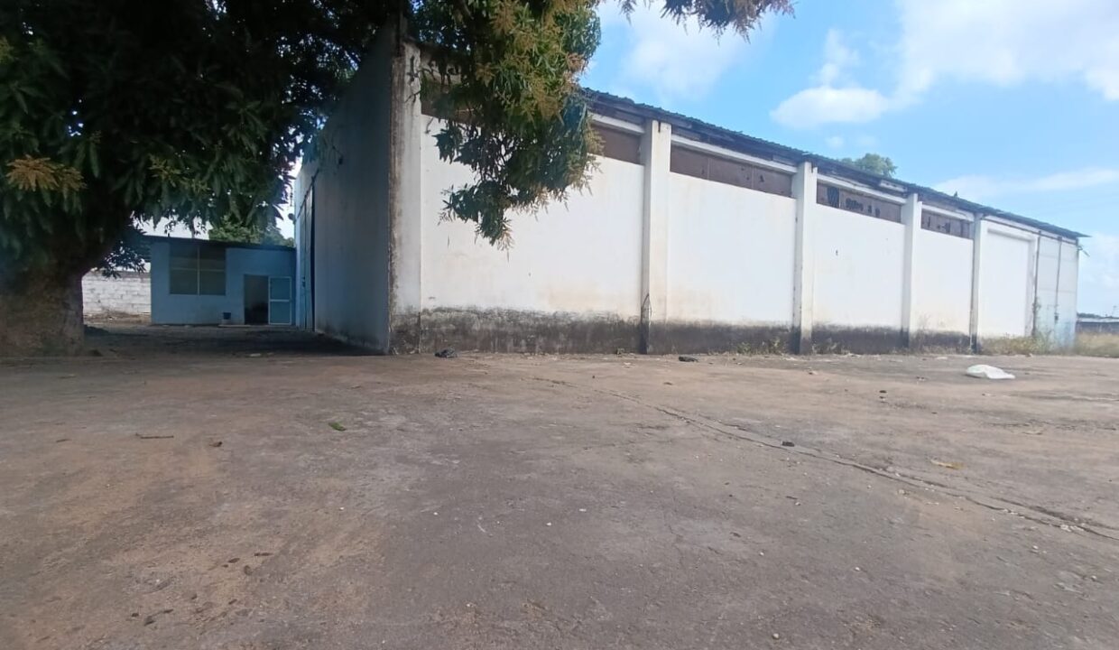IMG-20250605-WA0058