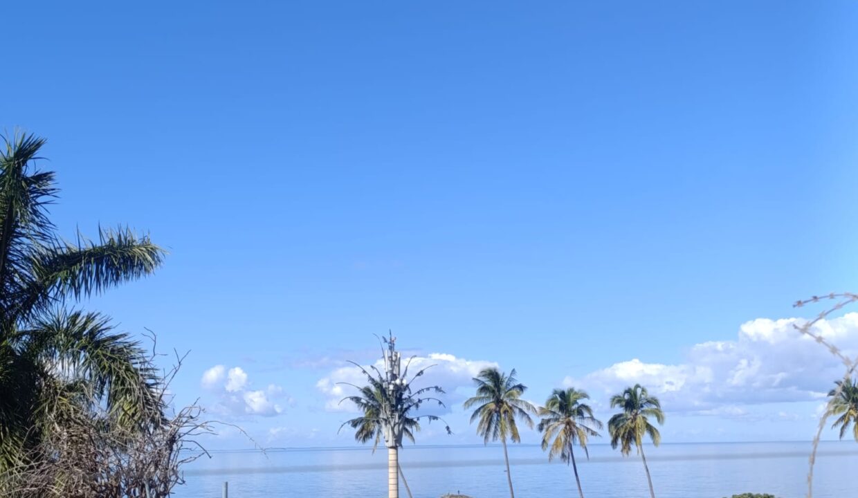 IMG-20250614-WA0005