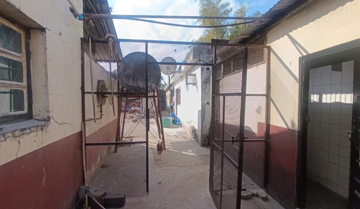 WhatsApp Image 2025-06-05 at 11.41.50_bf615b6b