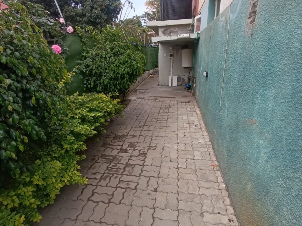 IMG-20250811-WA0101